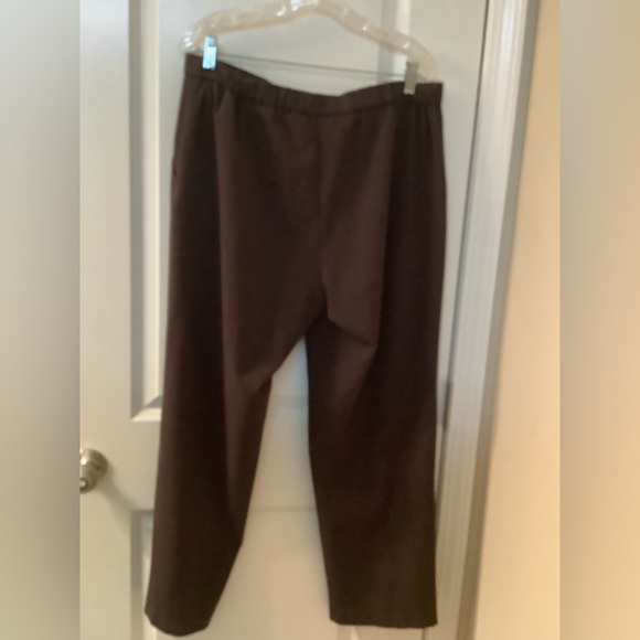 SAGHARBOR pants, elastic waist, 2 front pockets, inseam 29” Chocolate color, 16 - Picture 2 of 2